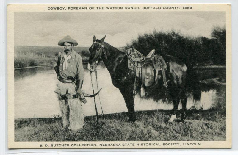 Cowboy Foreman & Horse Watson Ranch Buffalo County Nebraska postcard