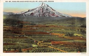 Oregon   Mt. Hood ,  Aerial view of  Hood River Valley