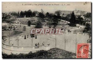 Angers Old Postcard General view of the garden plants