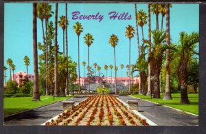 Beverly Hills Hotel,Beverly Hills,CA