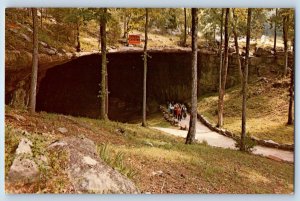 1960 Grant Alabama Vintage Postcard Natural Entrance Cathedral Caverns Entrance