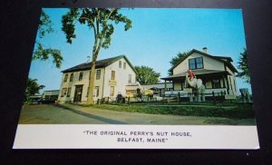 UNUSED POSTCARD - THE ORIGINAL PERRY'S NUT HOUSE, BELFAST, MAINE SCRAPBOOK PULL