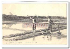 The salt marshes Old Postcard Salt harvest