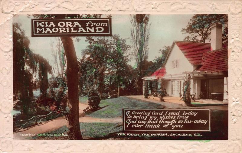 Tea kiosk, the Domain, Auckland, New Zealand, Early Postcard, Embossed Border