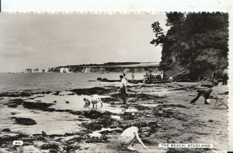 Dorset Postcard - The Beach - Studland - Real Photograph - Ref 16773A