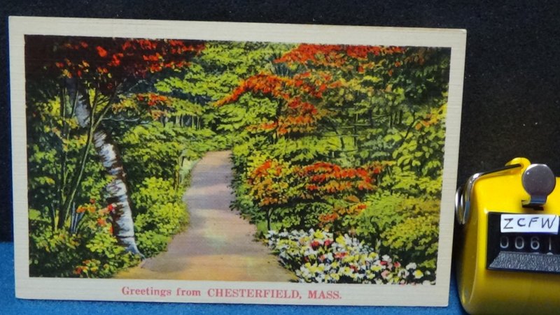 STD Vintage Greetings from Chesterfield Massachusetts Unposted Linen