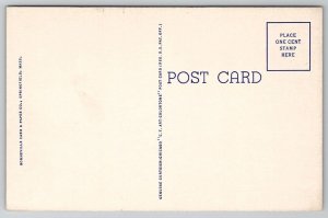 Rose Garden Forest Park Springfield MA Postcard W27