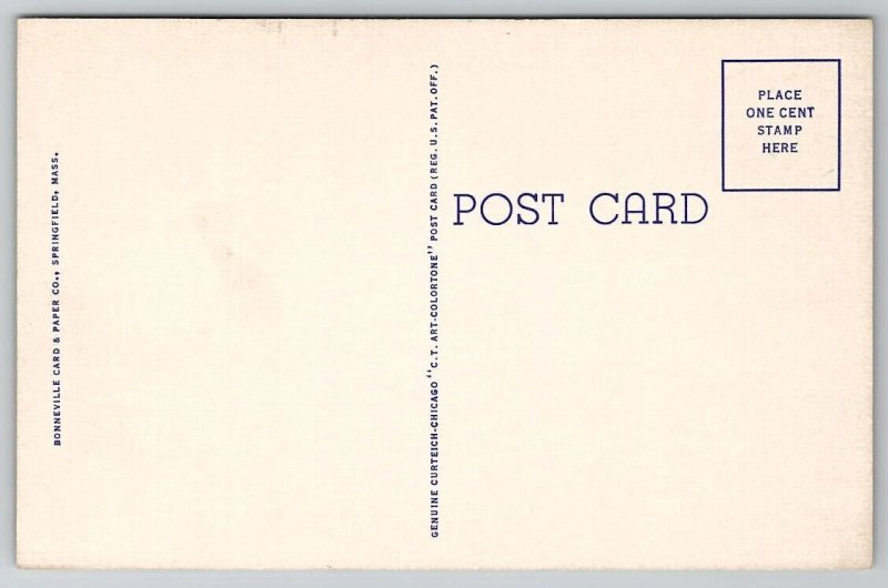 Rose Garden Forest Park Springfield MA Postcard W27