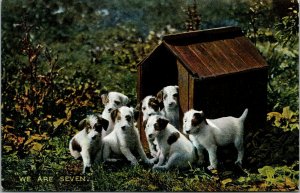 Vtg Pretty Puppies in Dog House We Are Seven 1910s Tuck Postcard