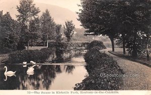 Swans in Kirkside Park - Roxbury in the Catskills, New York NY  