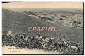 Old Postcard Folklore Wine Vineyard Harvest Champagne Moet & Chandon The harv...