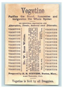 1878 Vegetine Tonic Quack Medicine Children Giant Butterfly P229