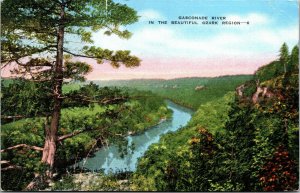 Vtg 1940s Gasconade River in the Ozark Region Missouri MO Linen Postcard