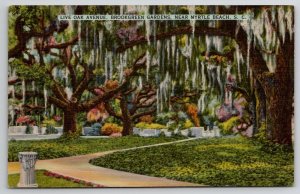 Live Oak Ave Breokgreen Gardens Near Myrtle Beach SC Postcard N21