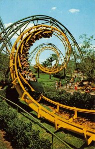 LP82  Busch Gardens Tampa  Florida Postcard   Python Thrill Ride 