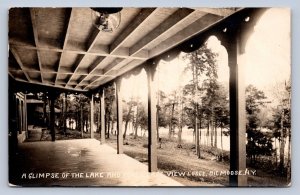 PC1/ Big Moose New York RPPC Postcard c10 Adirondacks Lake View Lodge 549