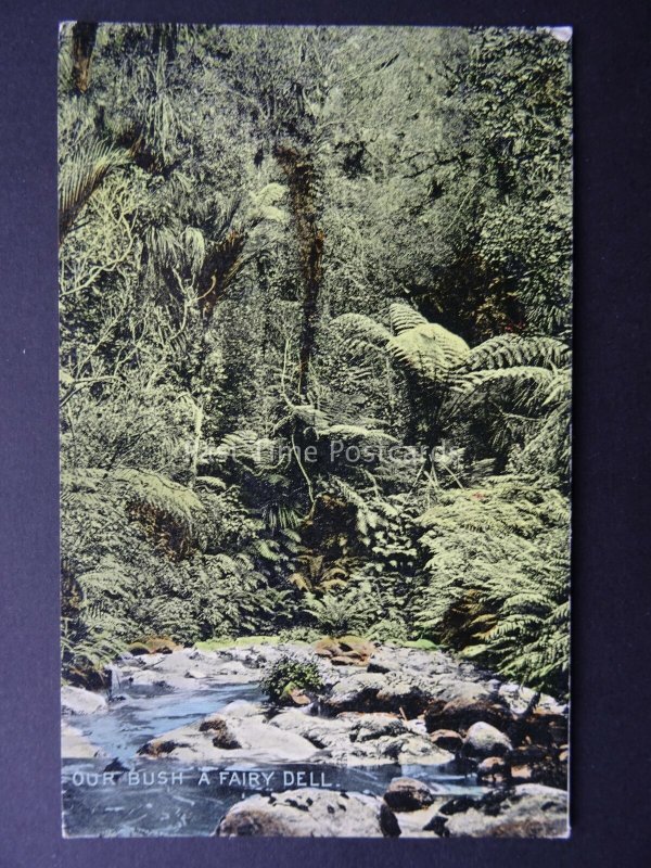 Australia A FAIRY DELL Our Beautiful Bush c1904 Postcard by Harding & Billings 