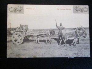 Siberian donkey cart-`11919 