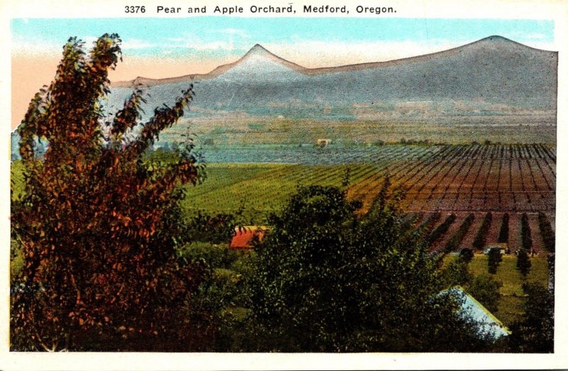 Oregon Medford Typical Pear and Apple Orchard