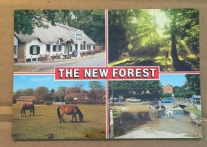 UNUSED POSTCARD - THE NEW FOREST, HAMPSHIRE, ENGLAND