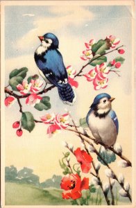 VINTAGE POSTCARD TWO BLUE BIRDS ON BRANCHES PRINTED IN BELGIUM c. 1925