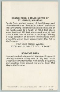 St Ignace Michigan~Castle Rock~Souvenir Barn~Vintage Postcard