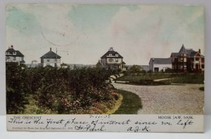 MOOSE JAW SACK Postcard  THE CRESENT Moose Saw Drug 1908 Saskatchewan Canada