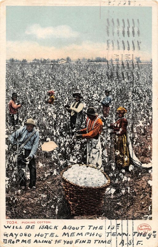 F47/ Black Americana Postcard Picking Cotton 1907 New Orleans 13