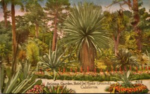 California Monterey Hotel Del Monte Grounds The Arizona Garden 1929