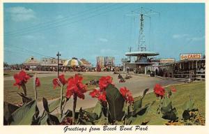 Bowling Green Kentucky Beech Bend Park Go-Cart and Midway Postcard J70592