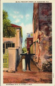 Treasury Street St Augustine Florida Linen Postcard C088