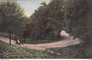 WILLIAMSPORT, Pennsylvania, PU-1913; Horseshoe Curve, Vallamont Drive