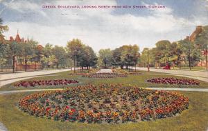 Chicago Illinois 1911 Postcard Drexel Boulevard looking North From 46th Street