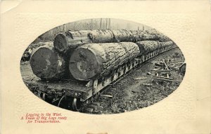 Vintage Postcard Logging in the West  Trees on Train Car W378 Pacific Novelty