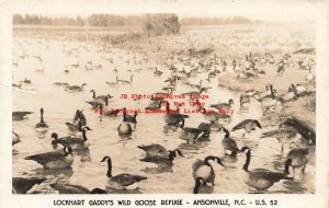 NC, Ansonville, North Carolina, RPPC, Lockhart Gaddy's Wild Goose Refuge, Photo