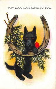 Scottie Terrier Dog May Good Luck Cling To You Postcard