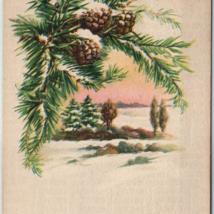 c1900s UDB Van Tassell, Wyo. Wyoming Holiday Greetings WY 1917 Christmas PC A206