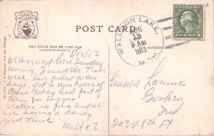 Petoskey Michigan~GR&I Park~Cut Leaf Birches~1913 Postcard