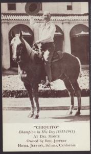 Chiquito Horse Postcard