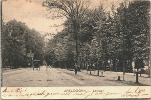 Netherlands Apeldoorn Loolaan Vintage Postcard 01.45