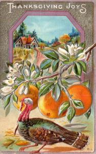 Thanksgiving With Turkey