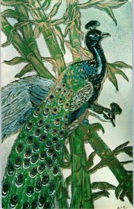 Peacocks from Original Paintings by Mouth Artist Nyla Thompson Postcard