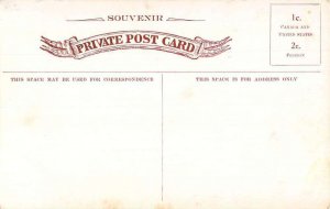 Maple Creek Saskatchewan Canada Sheep Shearing Vintage Postcard AA41439