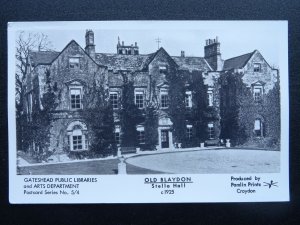 Gateshead OLD BLAYDON Stella Hall 1925 RP Postcard by Pamlin Series 5/4