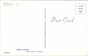 Brook Fishing Postcard VTG UNP Dexter Vintage Unused Chrome  
