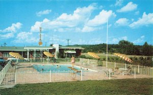 Meridian MS Motel & Restaurant Swimming Pool Old Cars Postcard