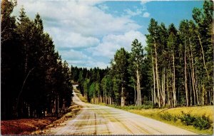 Kaibab National Forest Arizona Road 1960s Fredonia AZ Cancel Postcard H33