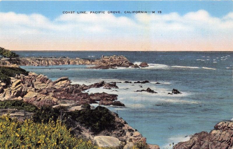 PACIFIC GROVE CALIFORNIA COAST LINE~HOME OF THE BUTTERFLIES~C S BENDER POSTCARD