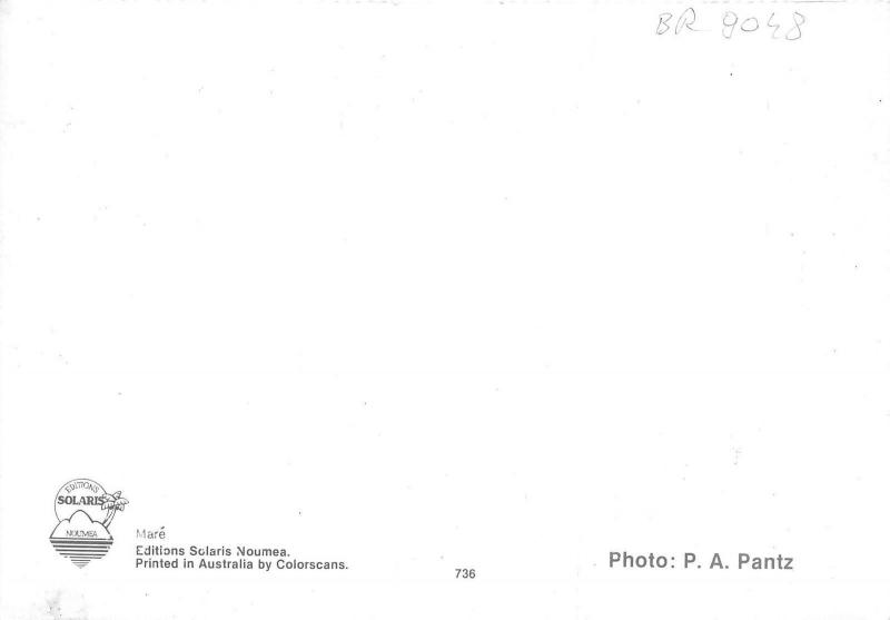 BR9048 Mare   new caledonia