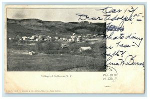 1905 Village of Callicoon New York NY Hankins Fremont Center Postcard 